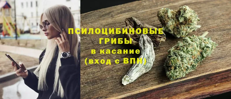 Галлюциногенные грибы MAGIC MUSHROOMS  Великие Луки 